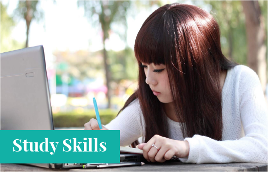 Reading, note-taking and summarising